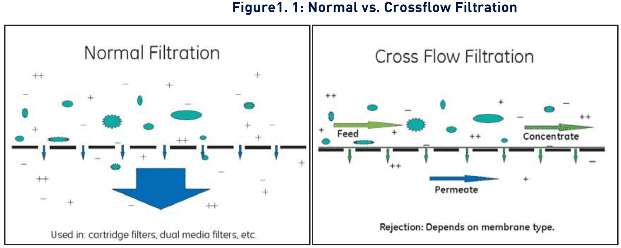 Figure 1.1 normal vs crossflow filtration