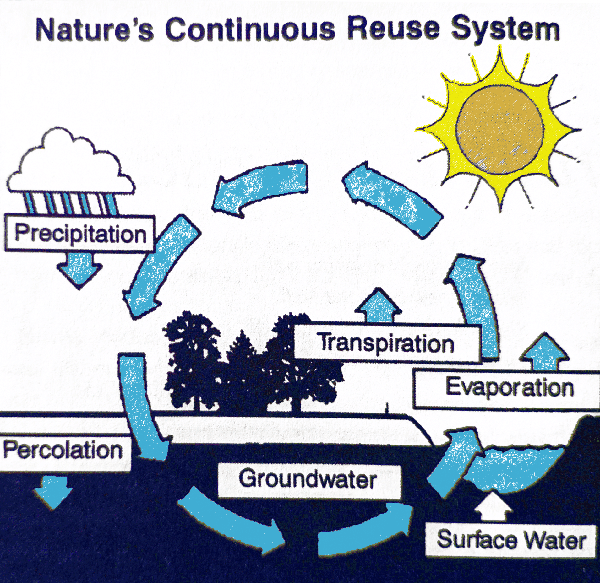 hydrologic cycle, complete water solutions, water problem with purity
